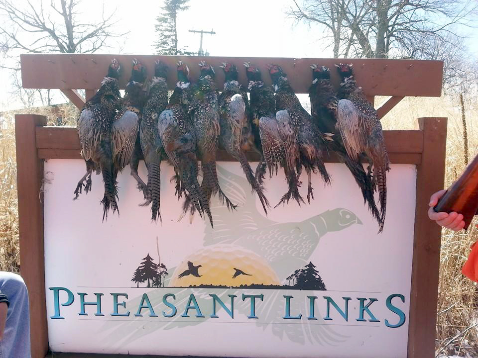 Pheasant Hunting Trip to Minnesota My Soul Passion