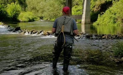 trout-fishing-image
