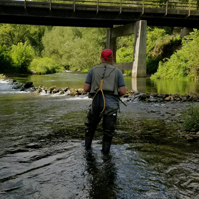 trout-fishing-image