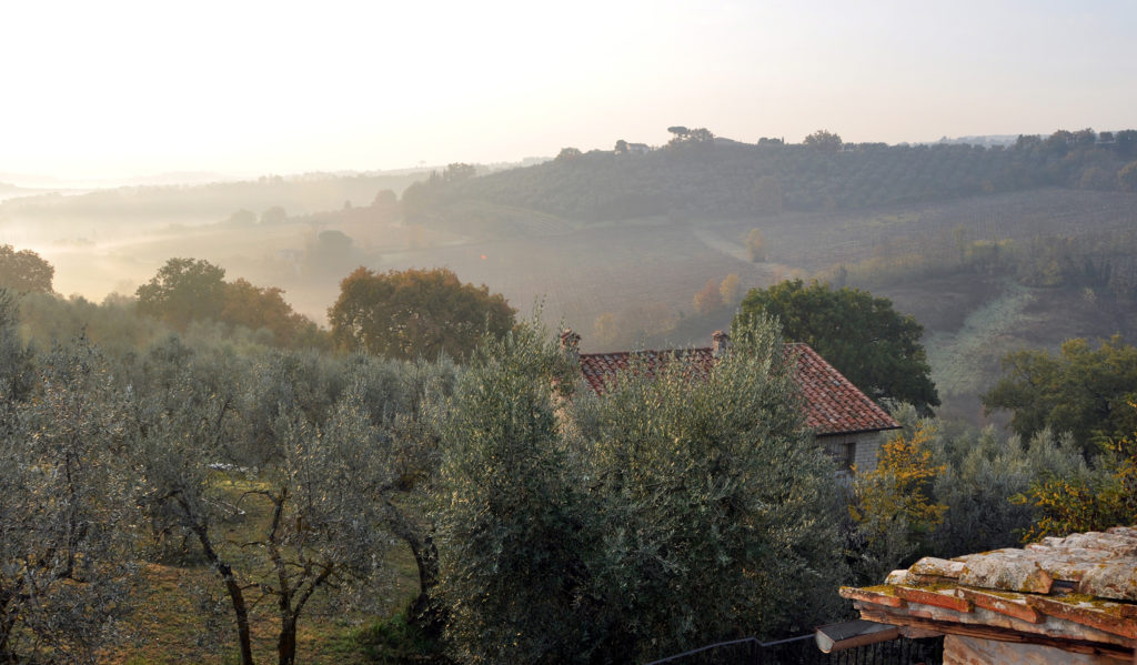 view from the Agriturismo Le Caggiole
