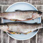 brown trout on a plate